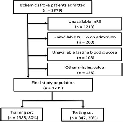 Predicting 6-Month Unfavorable Outcome of Acute Ischemic Stroke Using Machine Learning